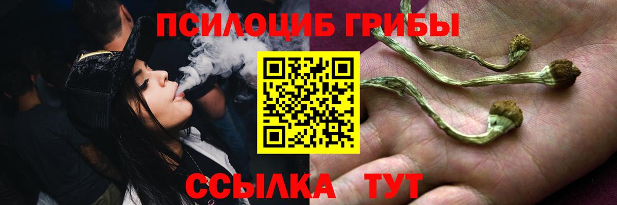 Псилоцибиновые грибы Psilocybe  Вход с VPN  Чистополь 